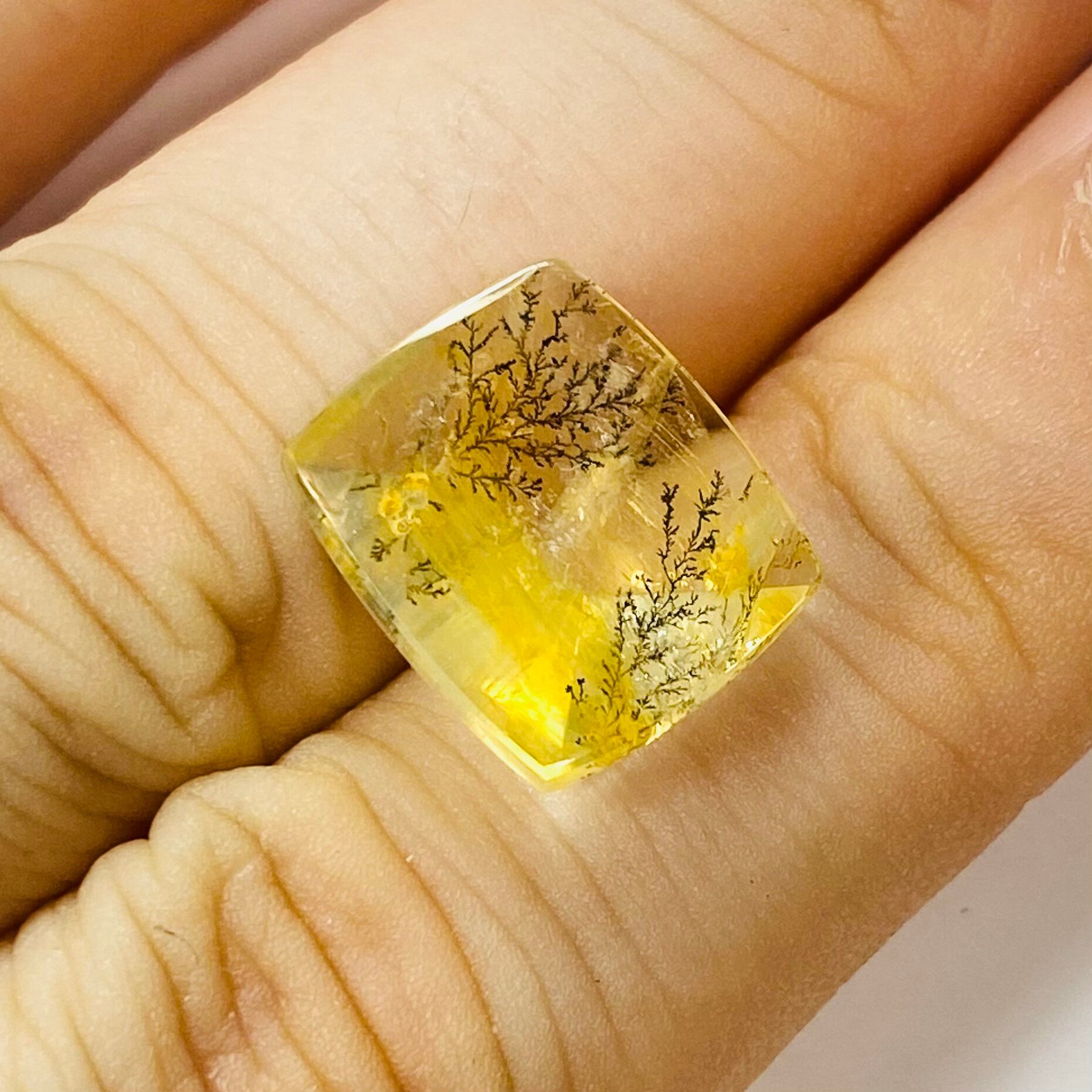 秋冬支度 デンドリティッククオーツ