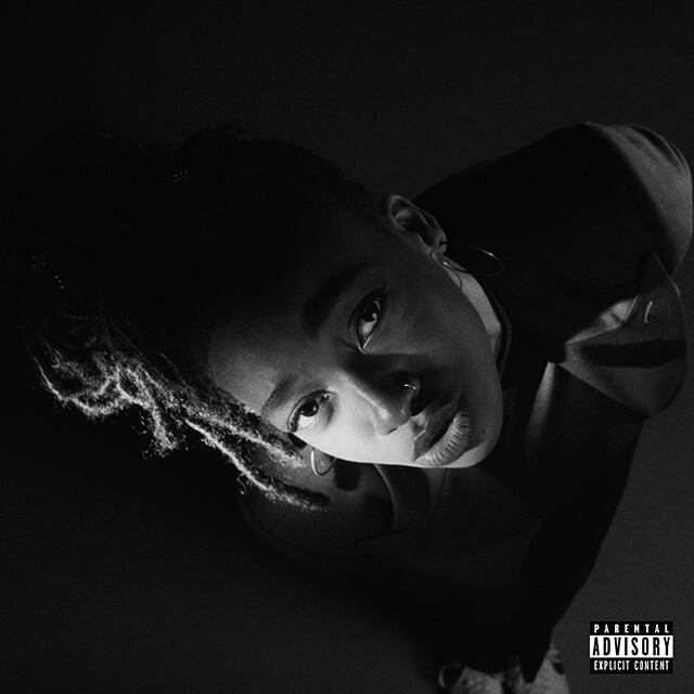 Little Simz / GREY Area(LP)