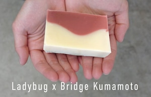 Ladybug × BRIDGE KUMAMOTO オリジナル石鹸『うきはし』