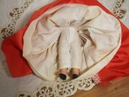 ナンシー・アン 「Queen of Hearts」ビスク 箱付き 画像15