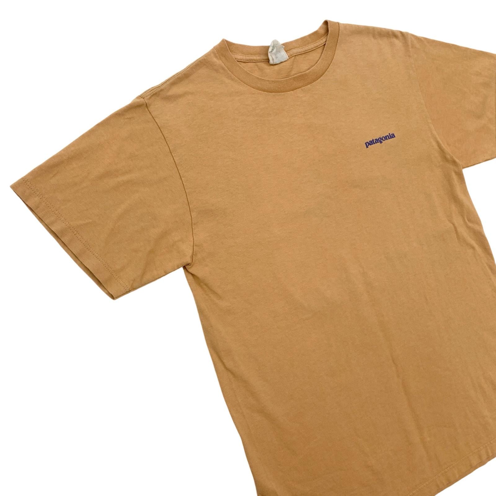 patagonia | パタゴニア 半袖Tシャツ Beneficial T's 波 北斎 USA製