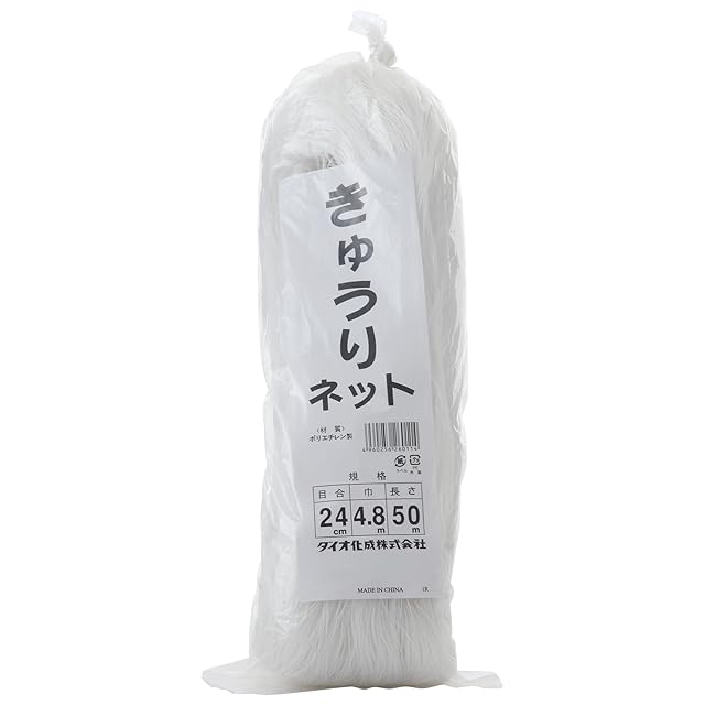 ビカクシダ・シャンカ(shankha) ① 長期養生株 ビ*ー様 ビカクシダ・シャンカ(shankha) ① 長期養生株 - メルカリ