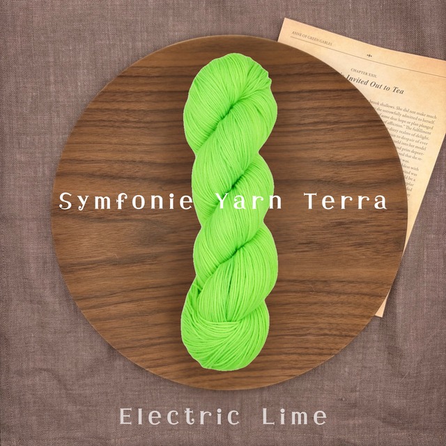 Symfonie Yarn 「Terra」- Electric Lime- 手染めソックヤーン 中細 100g 400m 靴下編み 毛糸 ニットプロ