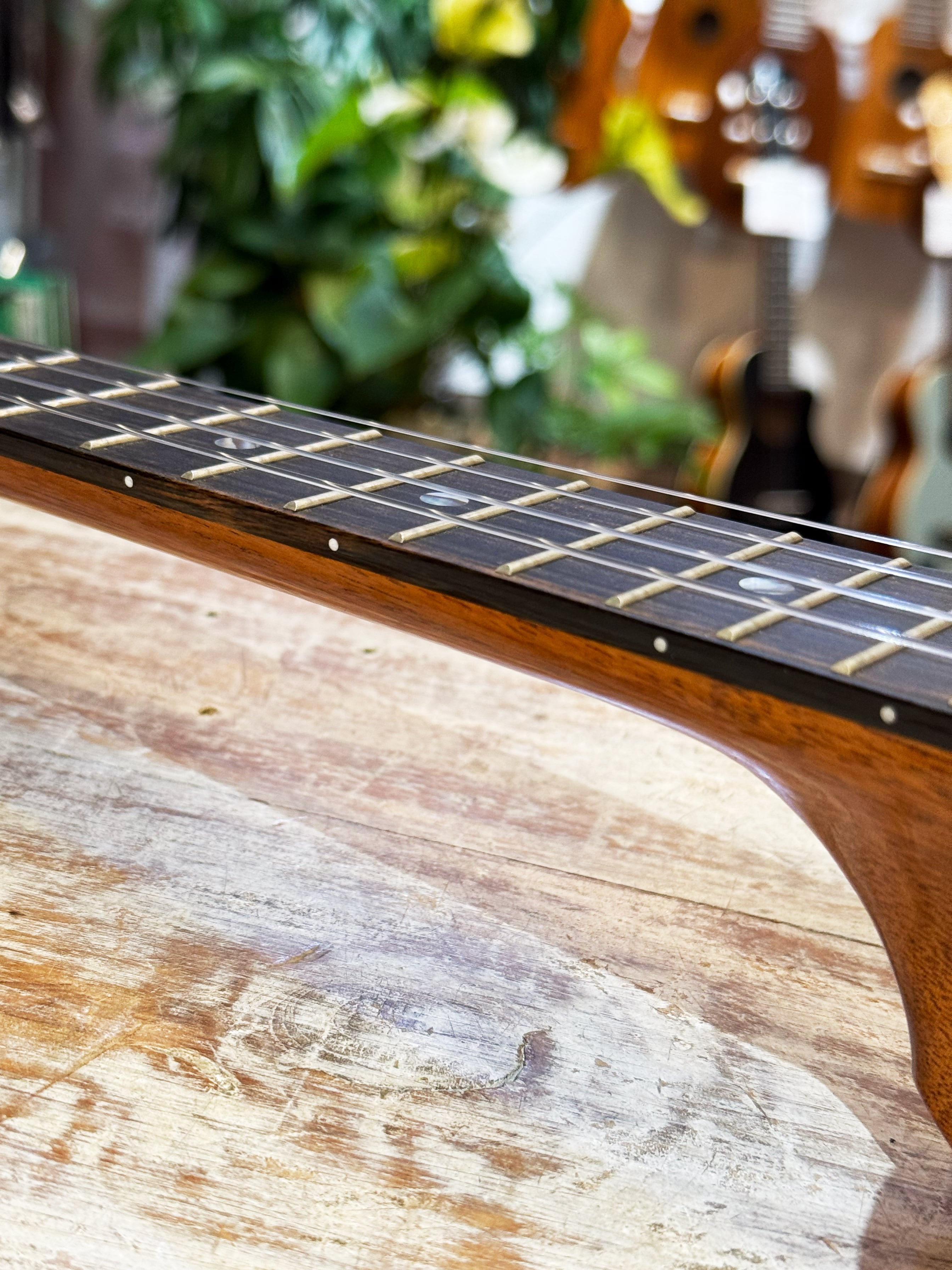 Koaloha コアロハ ウクレレ テナー KTM-00MG ハワイアンマンゴー