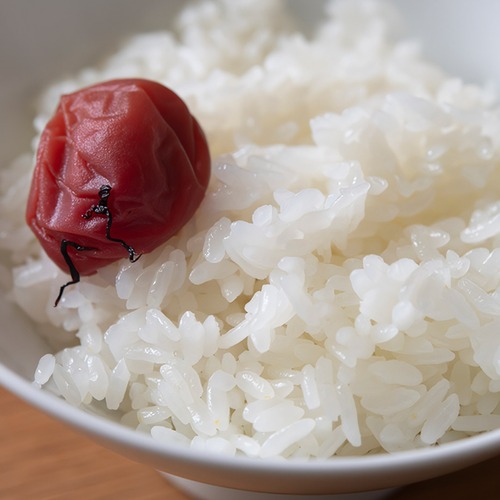 米 お米 30kg  あきたこまち  白米 玄米30kg 白米27kg  茨城県産  令和7年産 送料無料 一部地域除く