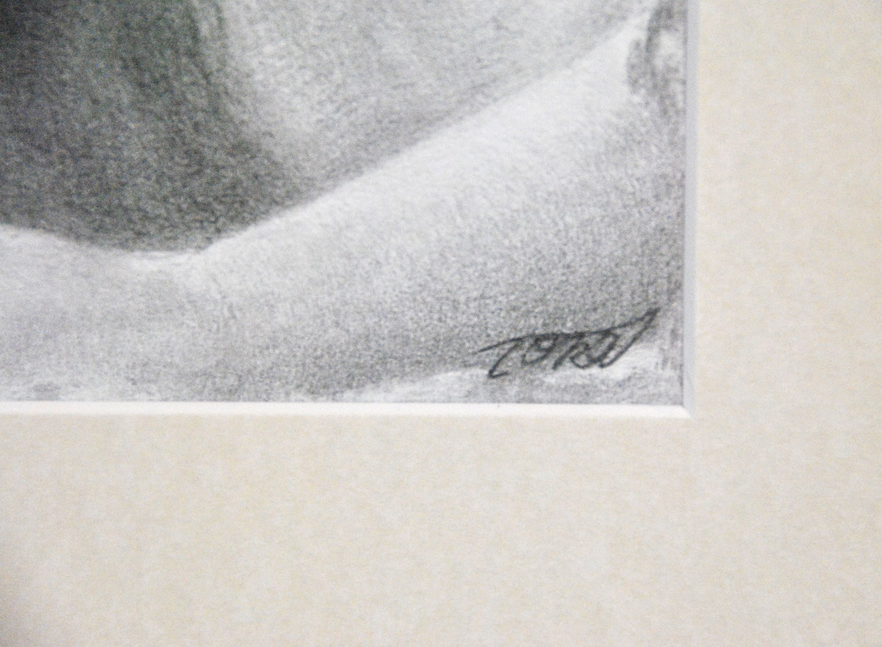 鉛筆画 SM（サムホールサイズ） 「Slumber」 | toka718