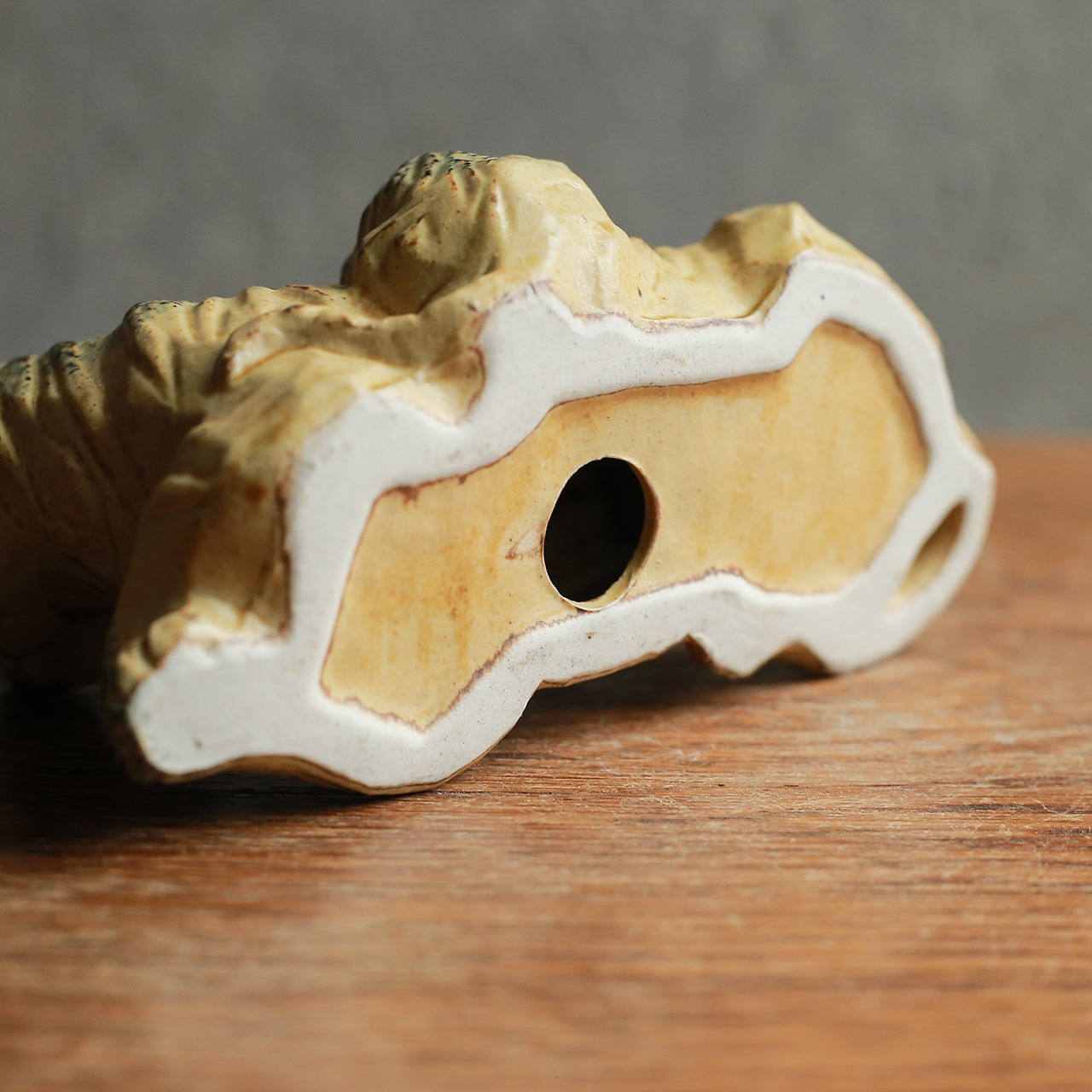 幸せに暮らす、仲睦まじいトラの親子