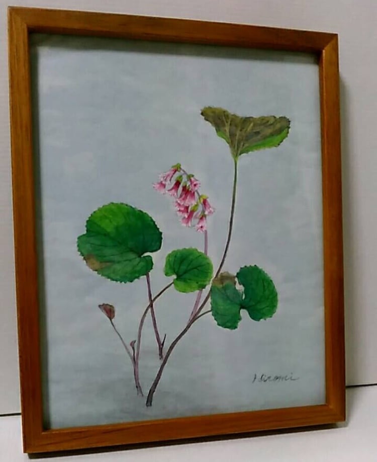 絵画 水彩画 百舌鳥に沈丁花 | アトリエひろ