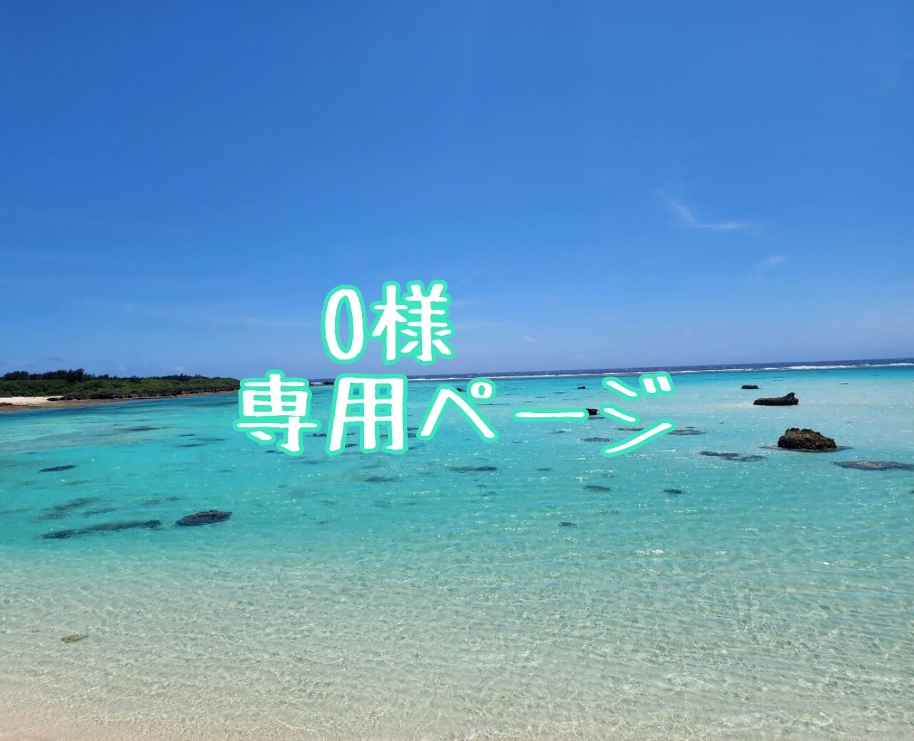 さえ様オーダー専用ページ ☆オーダー番号39番様専用ページ☆ 39 専用ページです！ - メルカリ