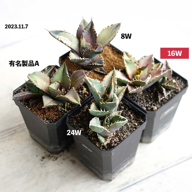 LEDライト 小型AS型 16W 電球色 ブラック