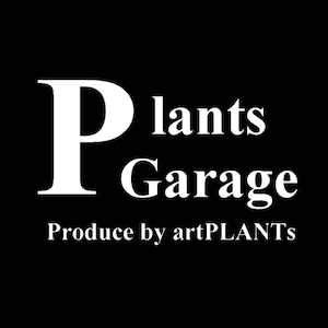 P.Jewel Sporelings【artPLANTs/PLANTS GARAGE】ビカクシダ/Platycerium