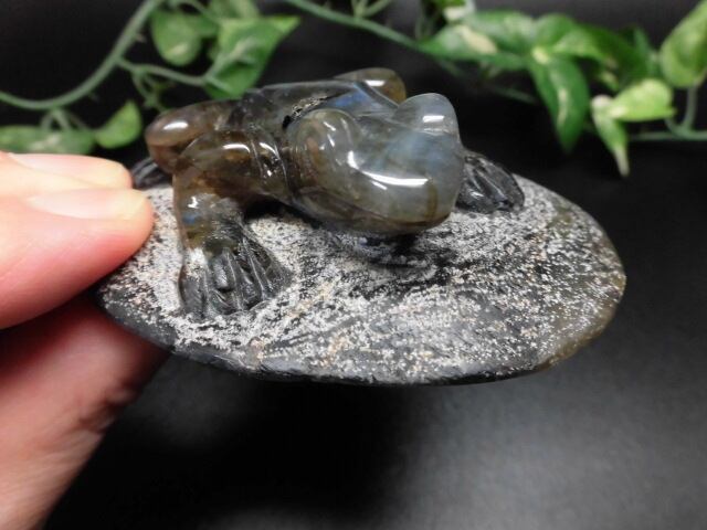 【送料無料】【高品質】ラブラドライトカエル　no.1