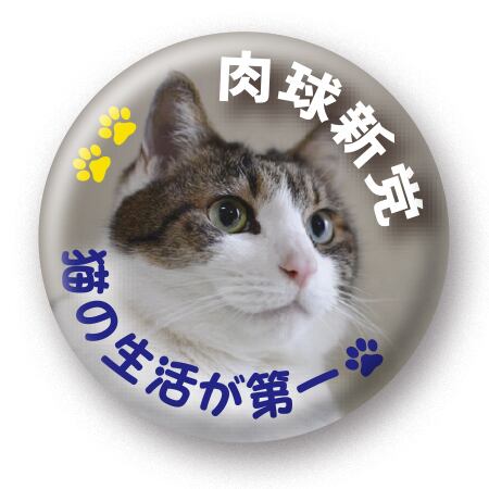 f76f6f4c0c4935ee90ed1776ff5837