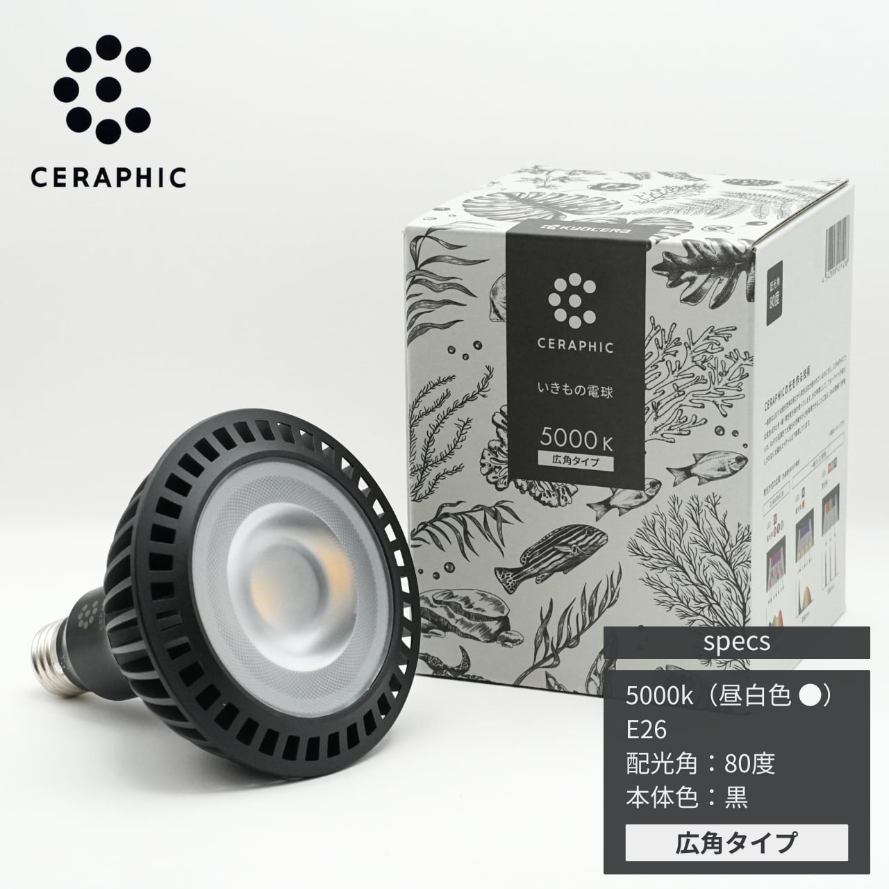 京セラ CERAPHIC いきもの電球 4000K(白色) 狭角｜太陽光を再現した高