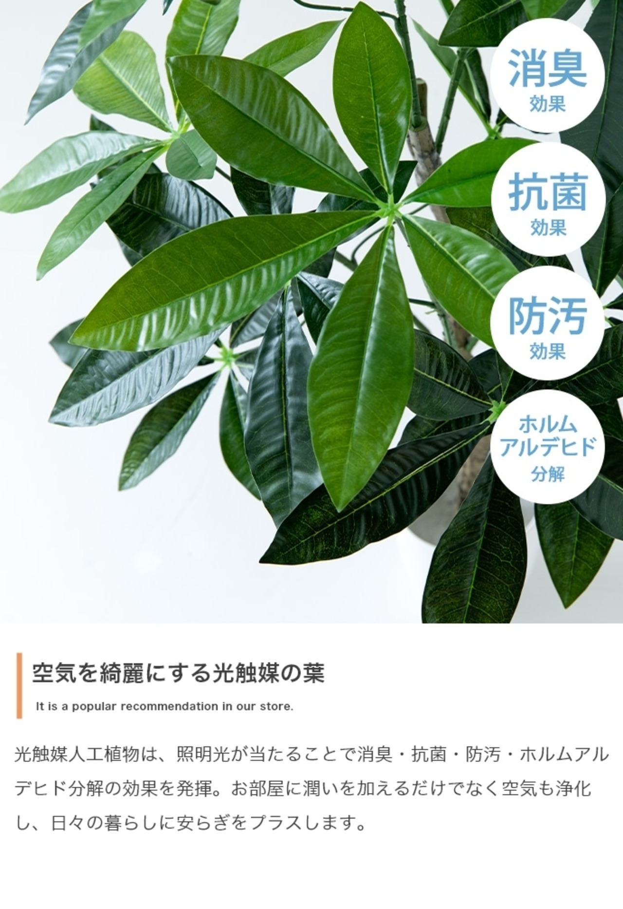 観葉植物 ベンジャミン フェイクグリーン 光触媒人工観葉植物 高さ120cm