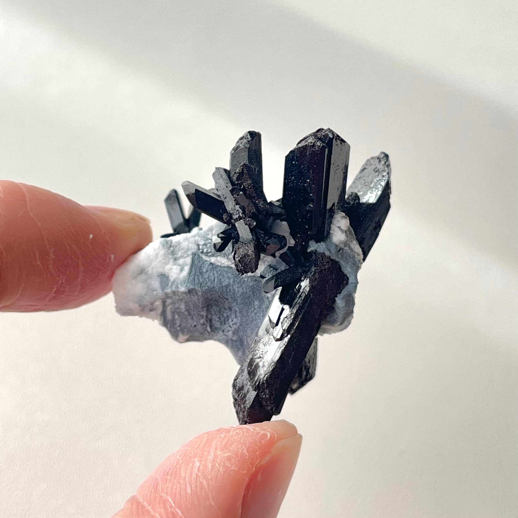 ネプチュナイト【Neptunite】アメリカ産 | PEANUTS MINERALS