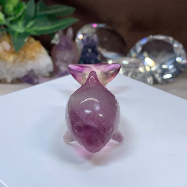 3.癒☆可愛いフローライトイルカさん