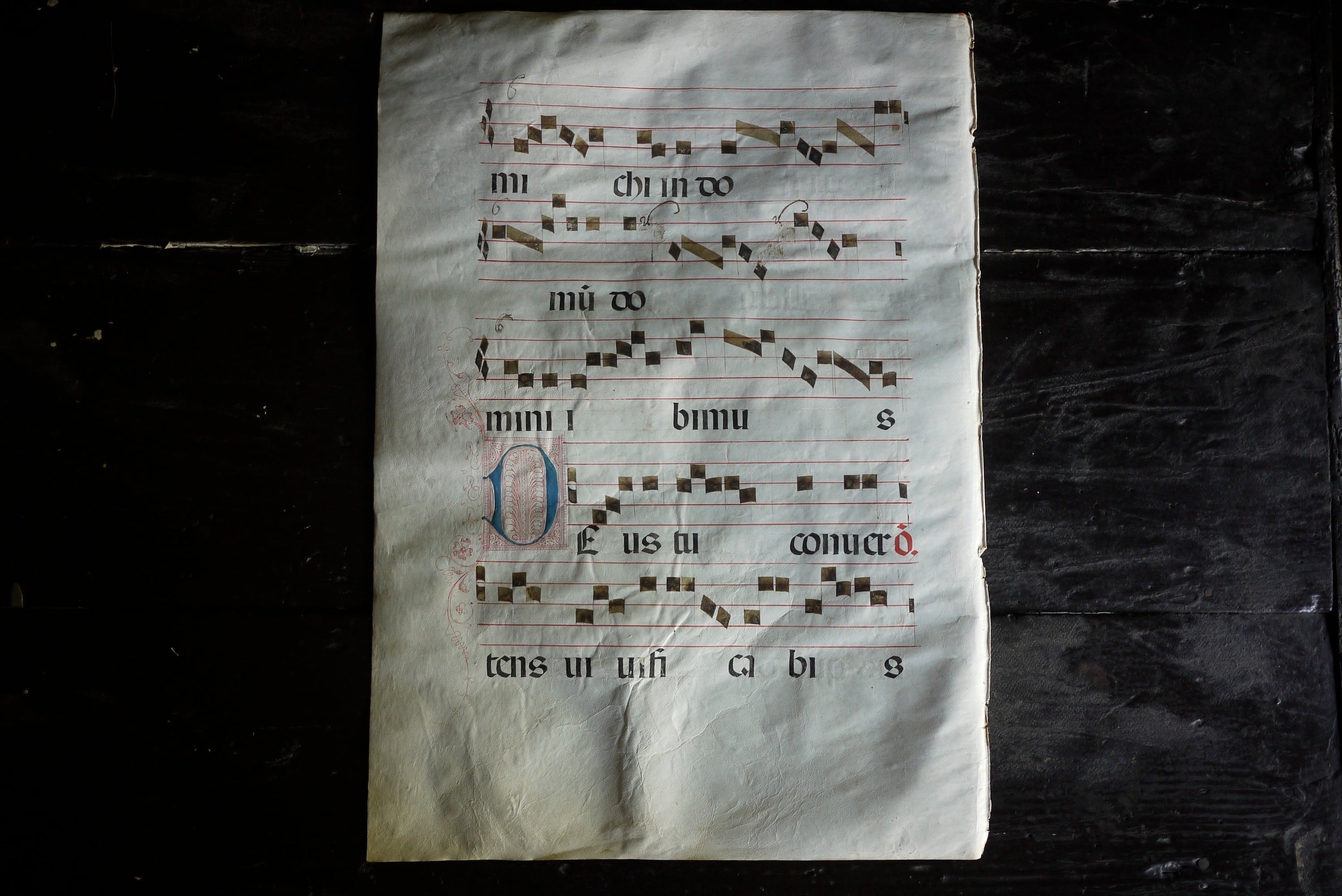 16世紀 ベラムに記されたグレゴリオ聖歌 ネウマ譜Ⅳ