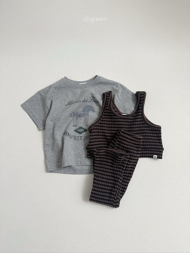 〘予約〙digreen / maiden T
