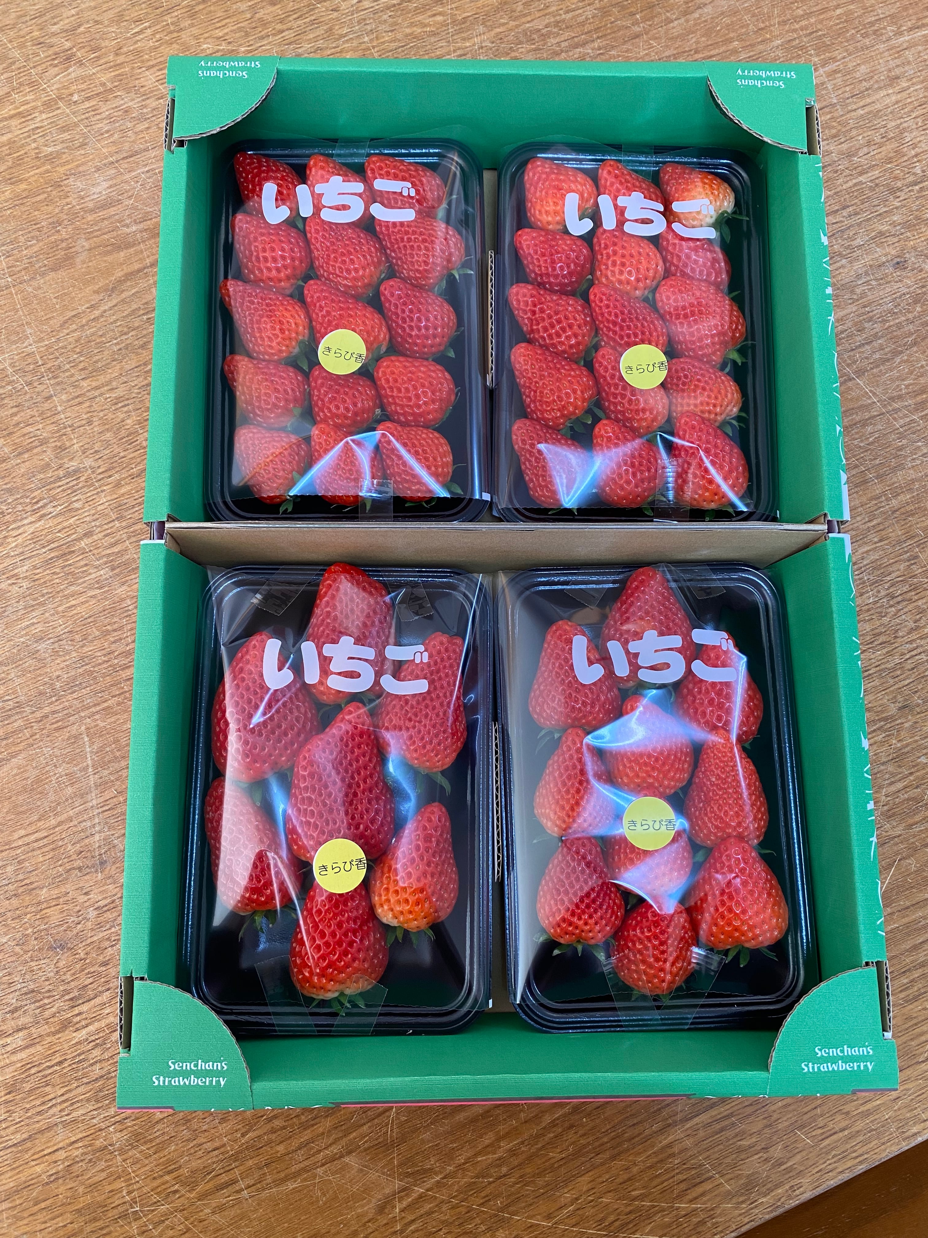 完全無農薬　幸せを運ぶ　野苺【3苗＋種子】野苺お任せ3苗　再送保証有 完全無農薬 幸せを運ぶ 野苺【3苗＋種子】野苺お任せ3苗 再送保証有