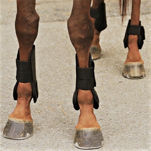 新品　エナメルプロテクター　4肢セット　レッグブーツ　肢巻　乗馬用品　馬術