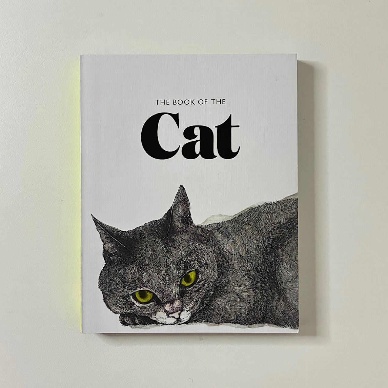 ◇ 画集・作品集 | 素敵な洋書の絵本屋さん Read Leaf Books