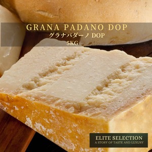 イタリア産 グラスフェッド グラナパダーノ DOP チーズ 5kg Grana Padano DOP Grassfed Aged Cheese 5kg