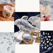 baccaさま専用出品 7/5,6 7/5,6ライブ分