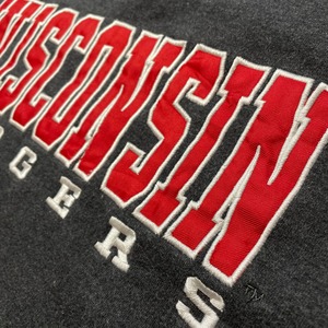 【STADIUM】カレッジ スウェット パーカー フーディ WISCONSIN BADGERS ウィスコンシン大学 M 刺繍 ロゴ フットボール US古着