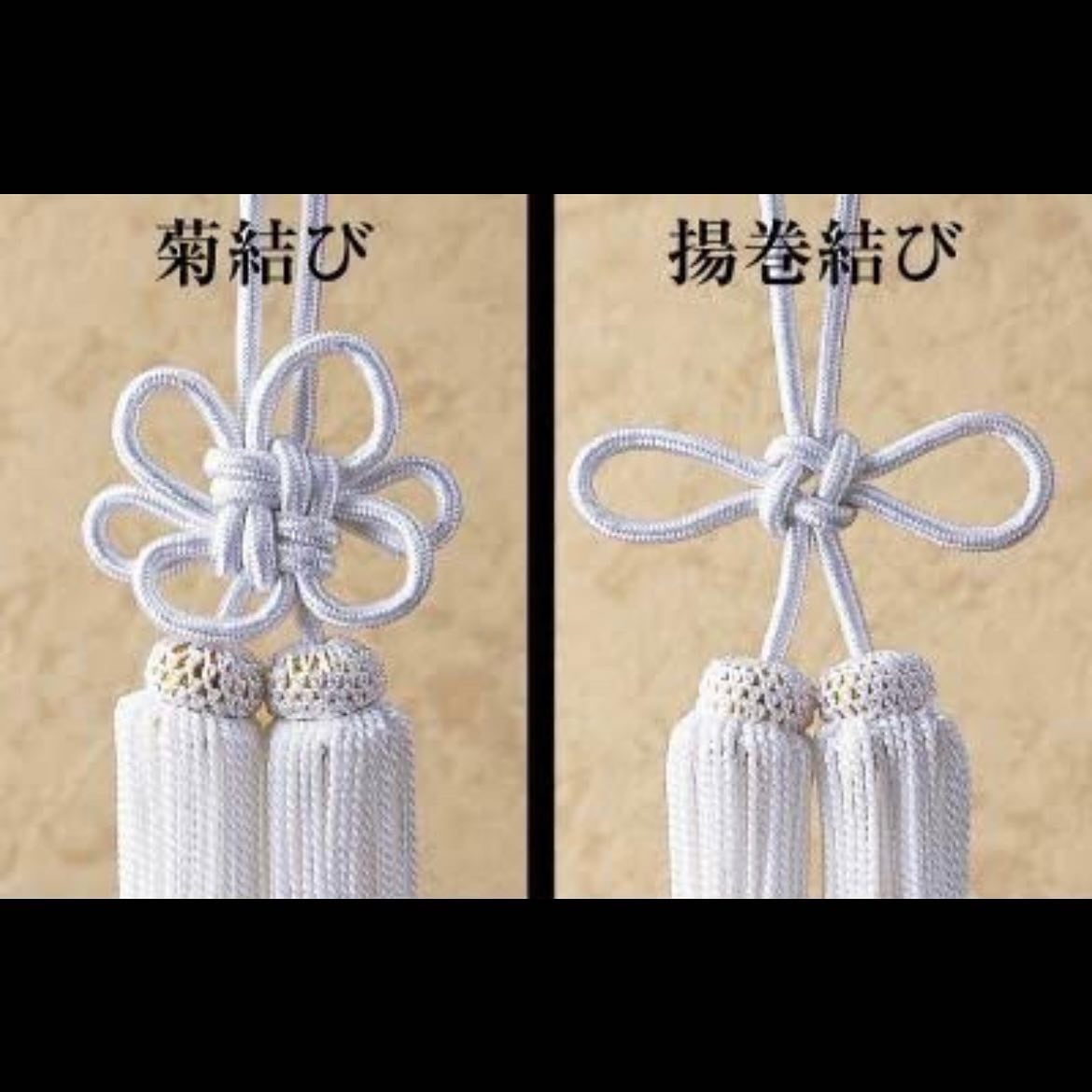 金綱 ふさ セット販売 | JUNCTIONPRODUCE【公式】