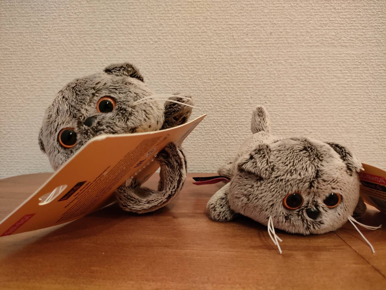 BBB062】22cm ブランド ブディーバーサ(Budi Basa) 猫の BBB062】22cm ブランド ブディーバーサ(Budi Basa) 猫の