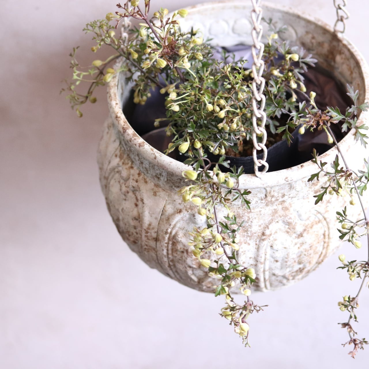 mondimanche 植木鉢 アンティークデコレハングW｜シャビーシック