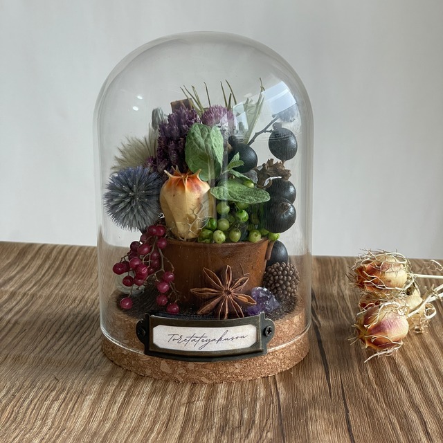 トレタテヤクソウ/魔女の庭で採れた薬草セット/ドライフラワー　木の実　ファンタジー　贈り物　プレゼント　ギフト　錆加工　アンティーク　ヴィンテージ　誕生日　魔法使い