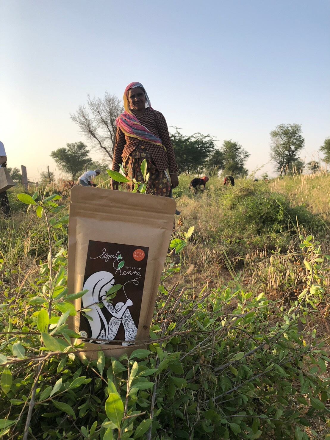 ソジャットヘナ チョコレートブラウン | Latree 葉っぱのSALON