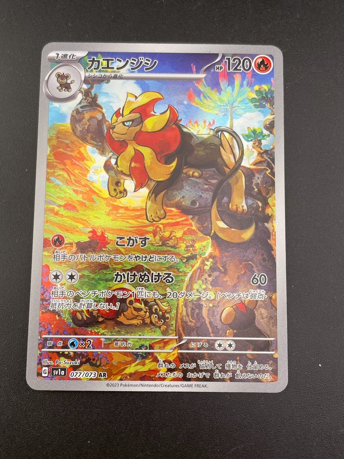 PSA10 3連番】リザードン 進化ライン ポケモンカードゲームclassic