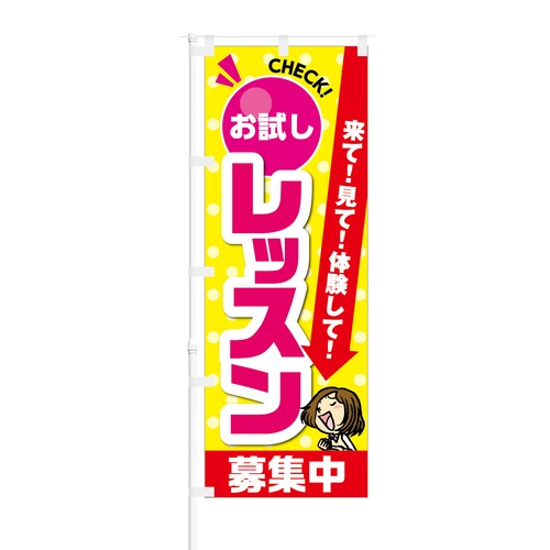 のぼり旗【 来て 見て 体験して お試しレッスン 募集中 】NOB-KT0055 幅650mm ワイドモデル！ほつれ防止加工済 習い事教室や英会話教室などの生徒募集に最適！ 1枚入