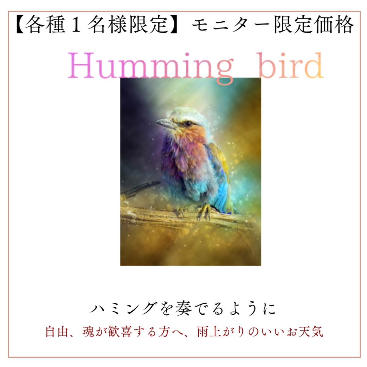 【1名様限定モニター】Humming bird 5ml 天使と妖精のエッセンスシリーズ | Twins&.
