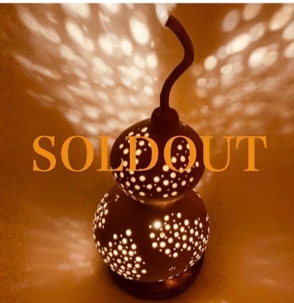 じゃごけランプ19