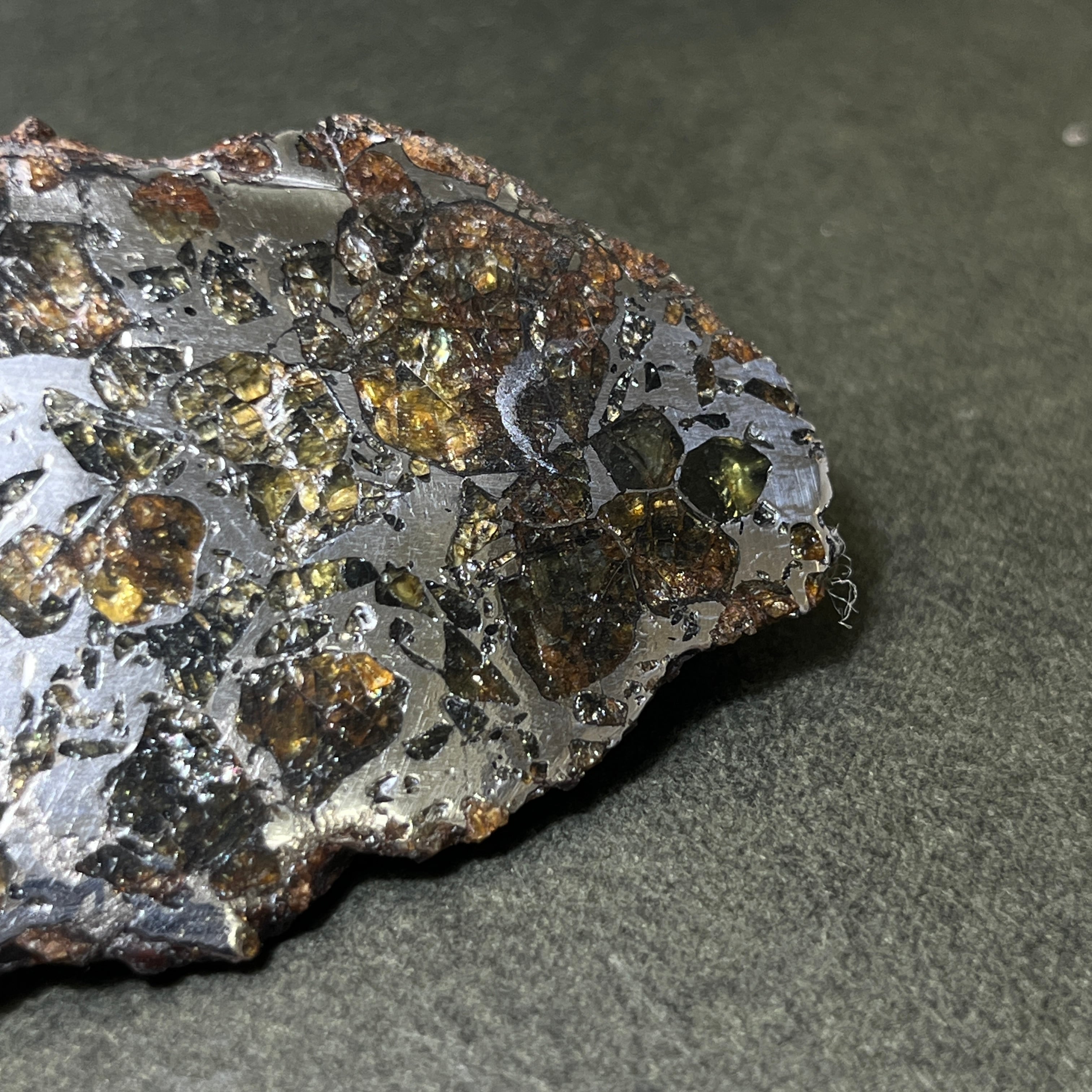 セイムチャン隕石 17g パラサイト隕石 NO.444 - pompanobeachelks.com