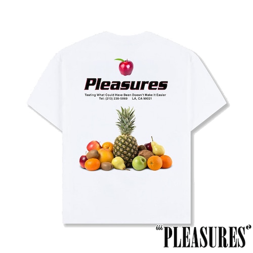 【PLEASURES/プレジャーズ】DELIVERY T-SHIRT Tシャツ / WHITE / SU26-14216