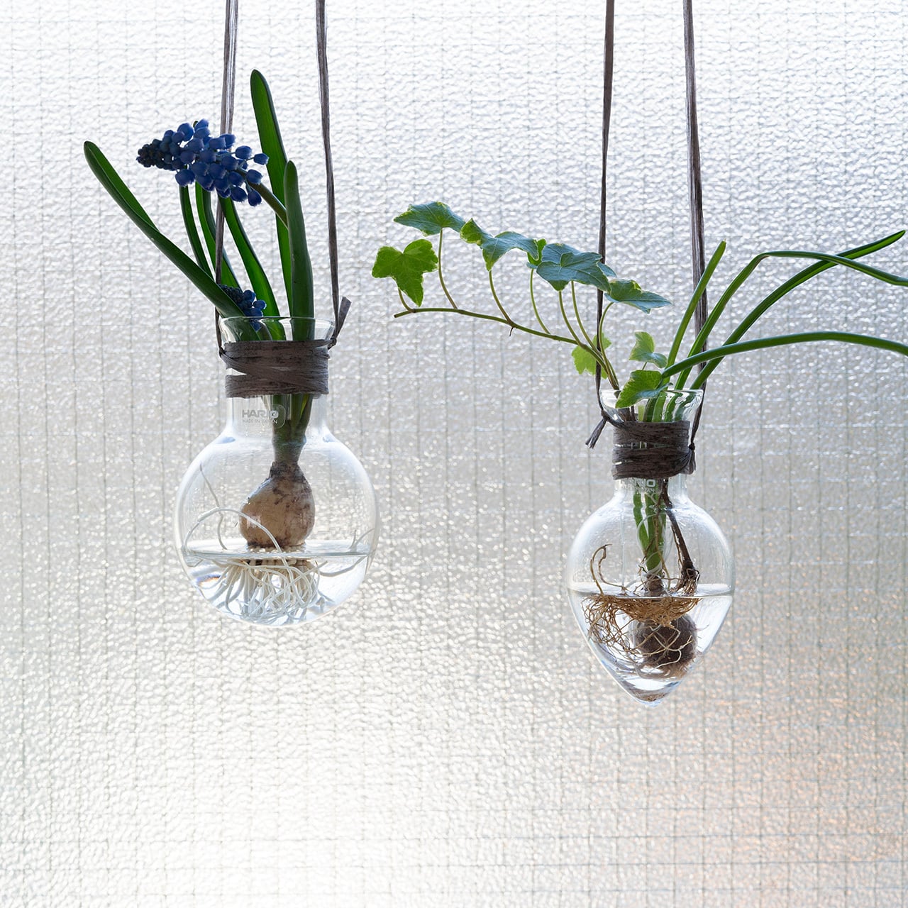 吊り下げる花瓶 しずく | Pay ID