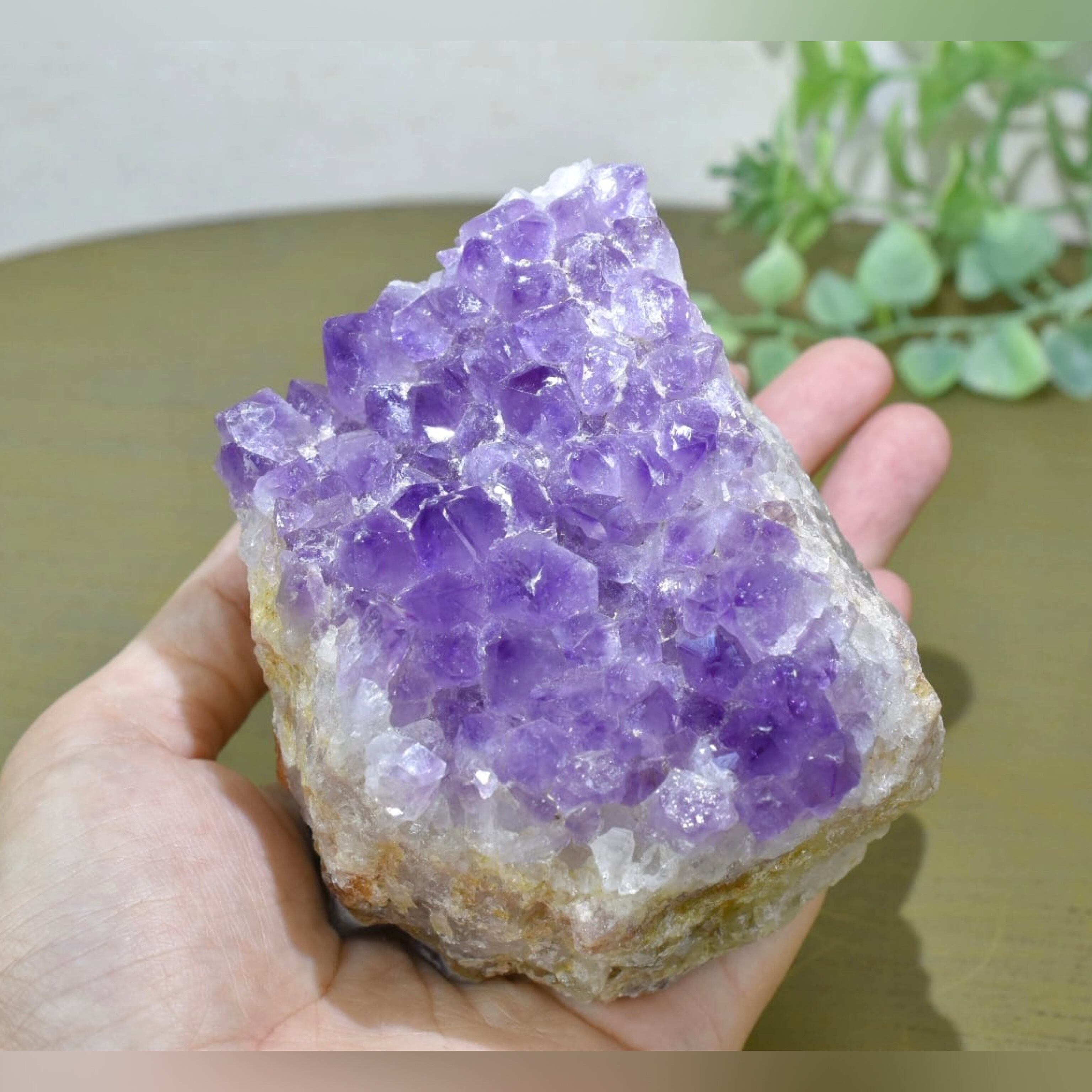 アメシスト クラスター ブラジル産 CR48