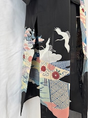 Black Longcoat See-through 602