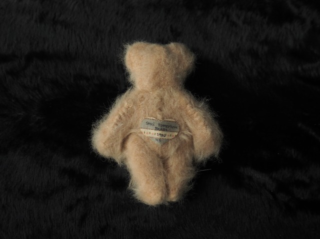 Artist Teddy Bear
