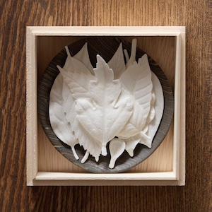 【NEW】International order : HA KO Box set of eight with a collaborative plate hand-made by our potter.