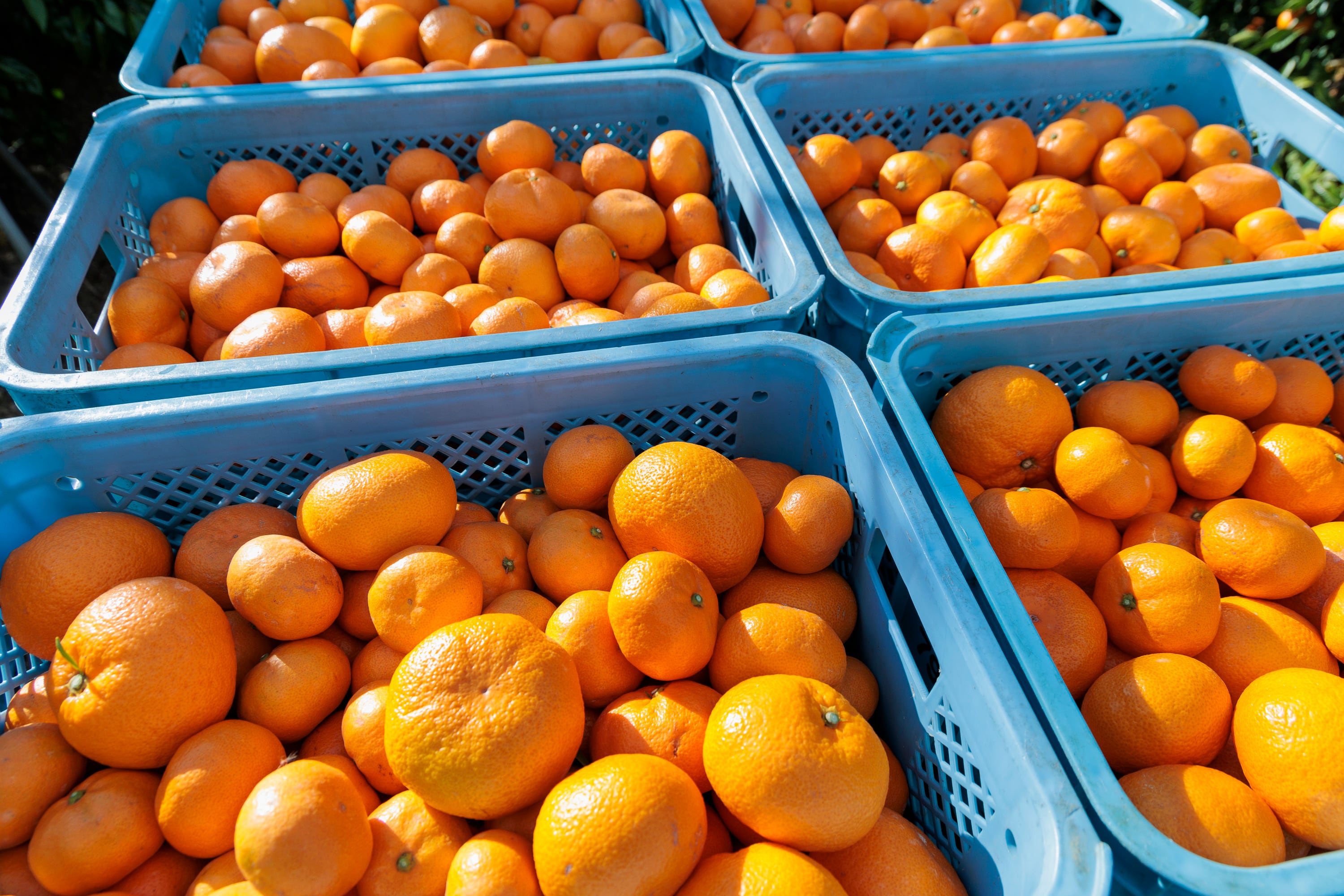 f7a9a99d417d6e3a559821f7b640fd