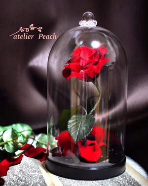 魔法の赤いバラ/ガラスドーム　❤︎プロポーズ・記念日❤︎