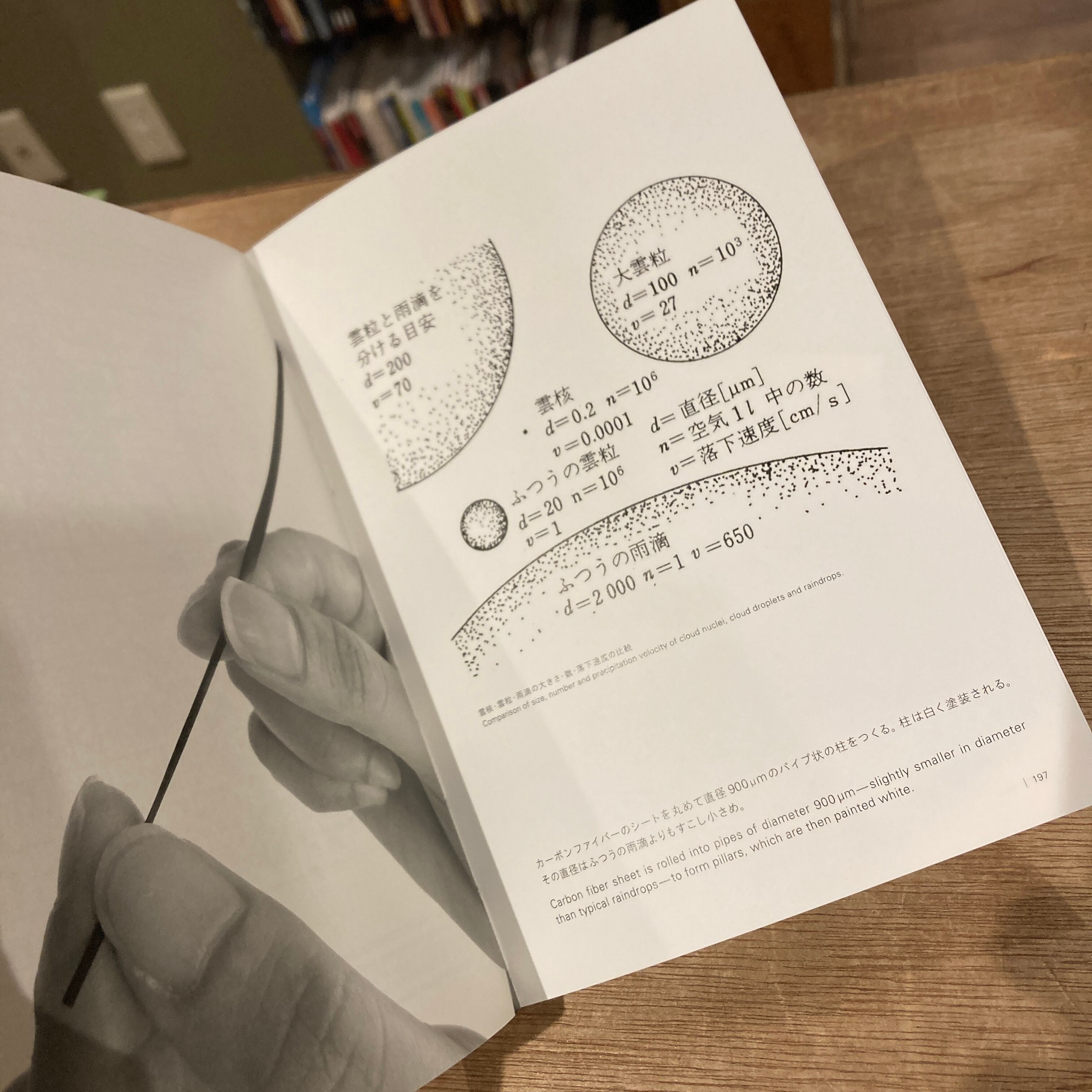 新版 建築のあたらしい大きさ / 石上純也 | 百年