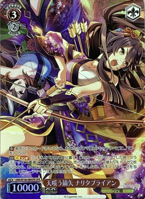 【美品】天嗤う鏑矢 ナリタブライアン(OFR)