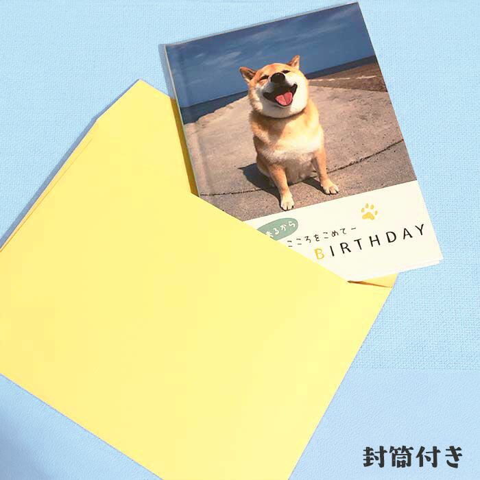 柴犬まるのメッセージブック(封筒付き) | MARUTARO SHOP